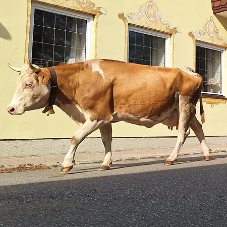 Alter Wirt Gasthof Farchant